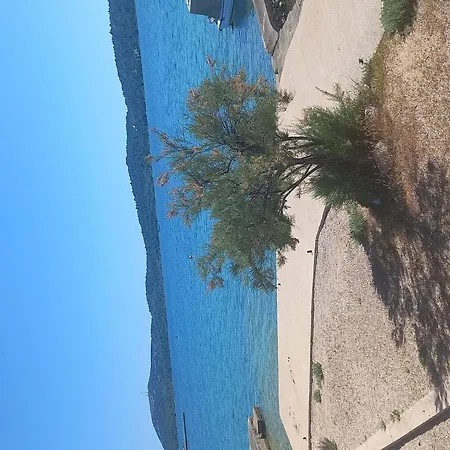 Casa vacanze Direkt Am Und Strand- Mit Grossem Garten Und Terrasse- Hervorragend Fuer Fam By Interhome