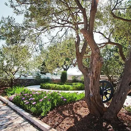 Direkt Am Und Strand- Mit Grossem Garten Und Terrasse- Hervorragend Fuer Fam By Interhome Casa vacanze Pirovac